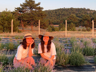 Solilu ile Doğaya Dönüş: Lavanta Yetiştiriciliği ve Aromaterapi Bahçemiz