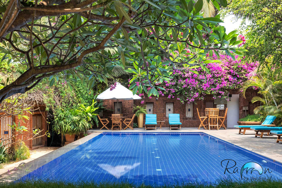 Poolside lounge with turquoise chairs and overhanging greenery.
