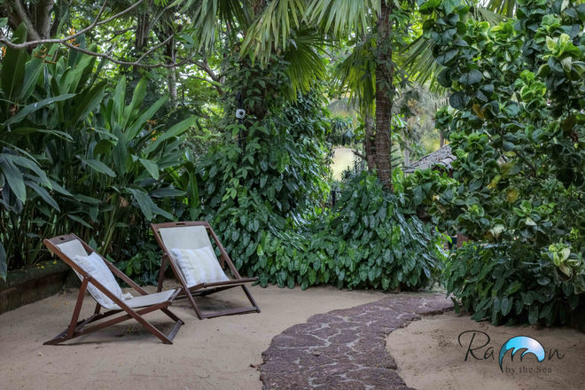 Wooden garden chairs under tropical shade next to the Louvre Cottage.
