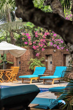 Bright pink bougainvillea over wooden deck by pool.