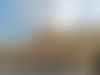 CFDT  : Bilan critique des ordonnances Macron sur le dialogue social 