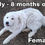 Thumbnail: Lily Great Pyrenees Puppy