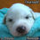 Thumbnail: Emerald Great Pyrenees Puppy