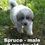 Thumbnail: Spruce Great Pyrenees Puppy