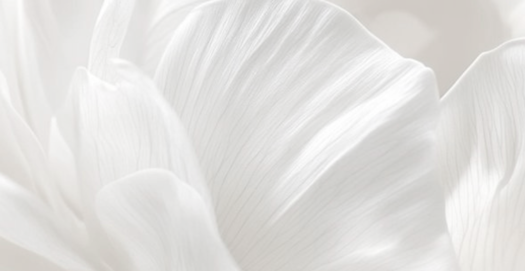 Design sans titre.png.png