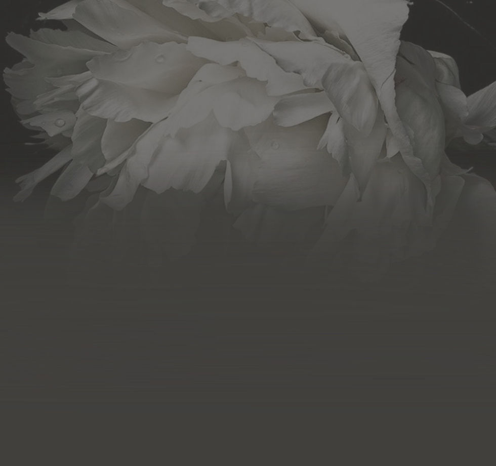 Illustration_sans_titre (17)_edited_edited.jpg