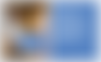 TenneT Traineeship Spatial Planning