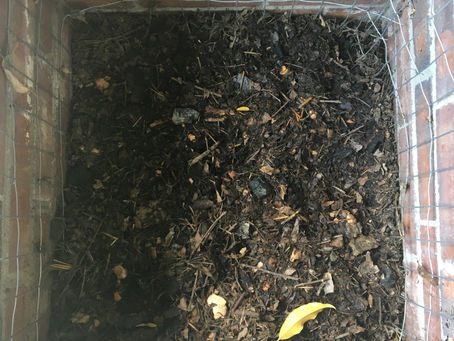 The wonders of contemplative work