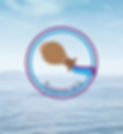 Anamcara%2520Logo_clear_edited_edited.jpg