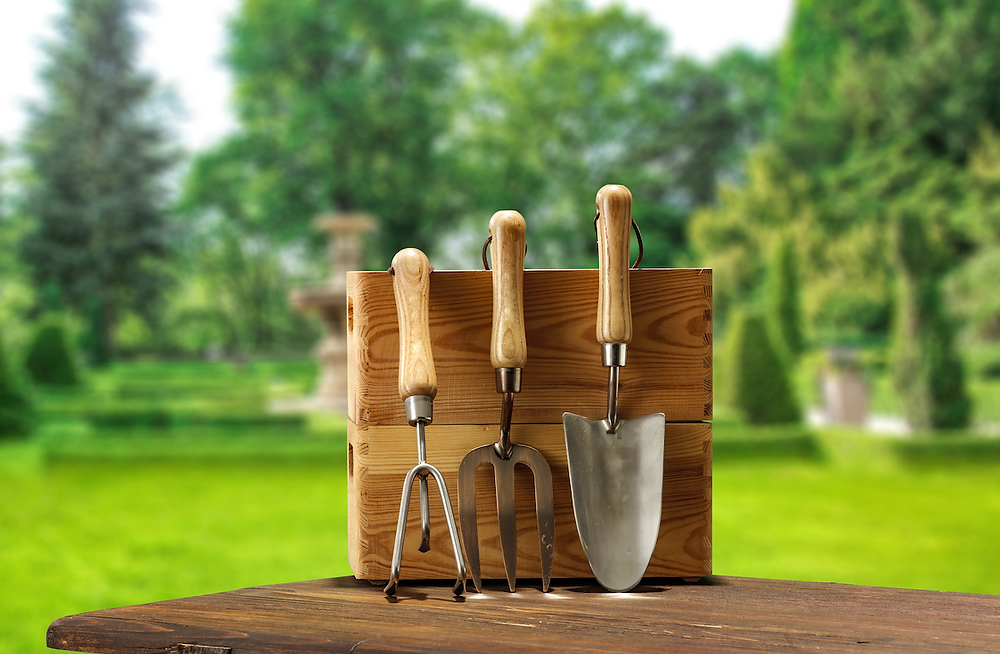 Indoor gardening tools top