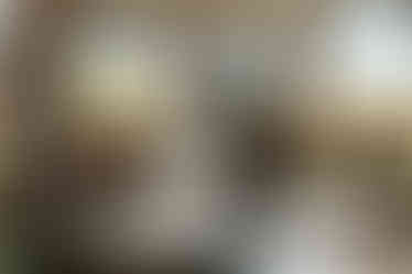 The bride spins as her dress flow with the groom holding her hand above her.