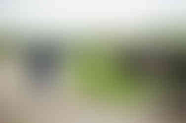 The bridge is escorted to the altar behind the seated guests.