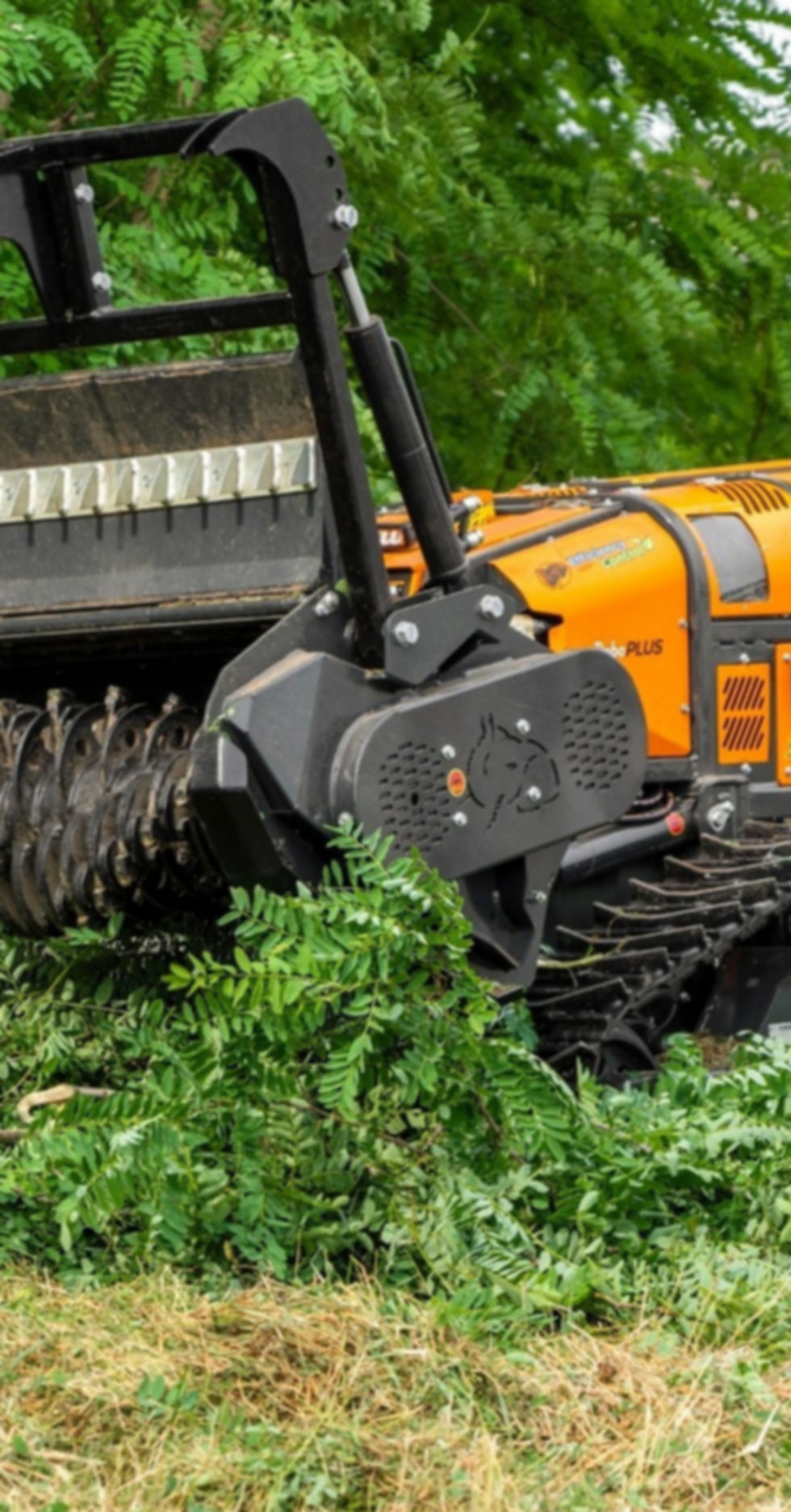 RoboPLUS_Forestry_150_DSC00872_edited_edited.jpg