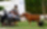 791b8ca88dd7f5986a882a982fd5db12.jpg
