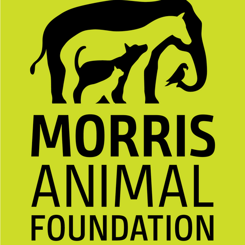 Morris Animal Foundation logo (Green)