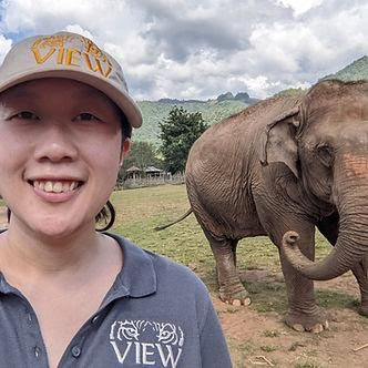 Dr. Jenn Yu taking photo in front of Asian elephant