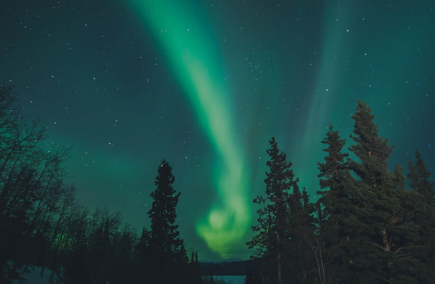 leonard-laub-X8Dc_8rXZHA-unsplash_edited.jpg
