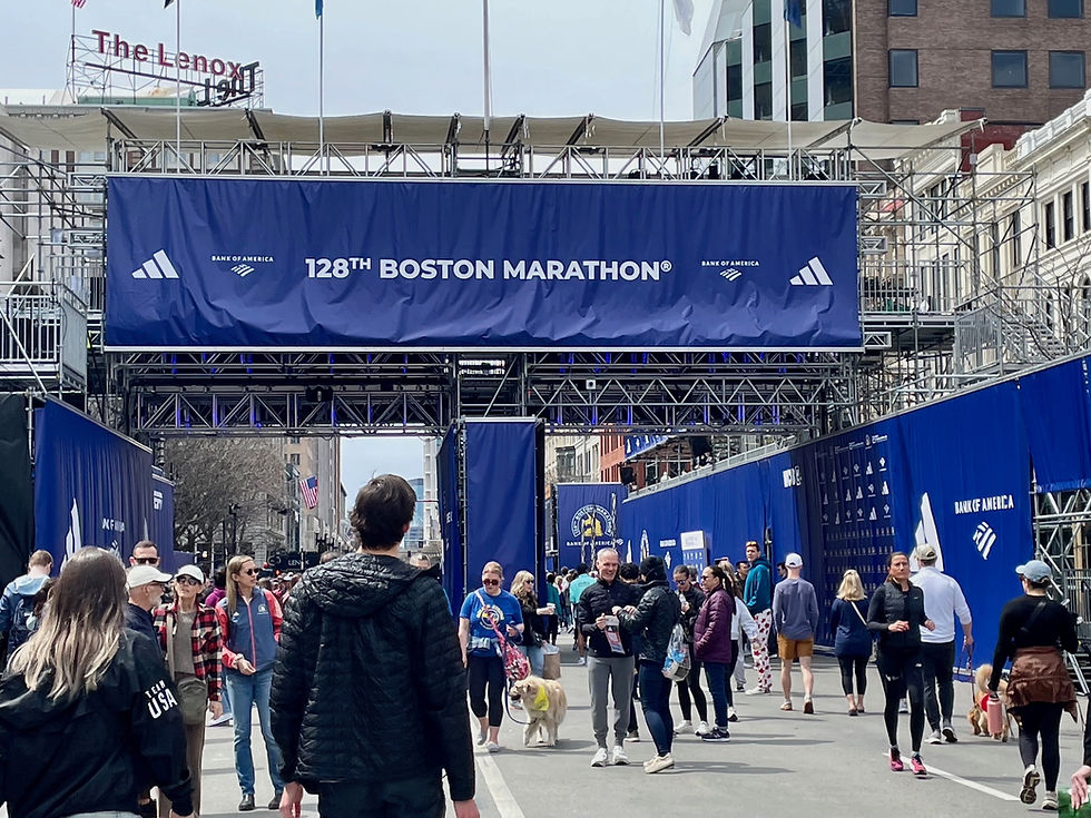 Start line of the 128th Boston Marathon