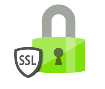ssl icon