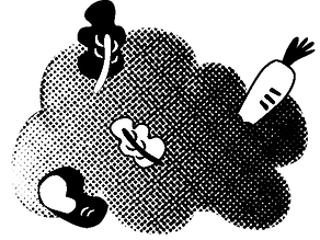 Asset 3.png