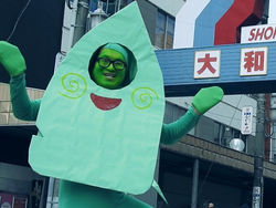 ニセヤマトン-min