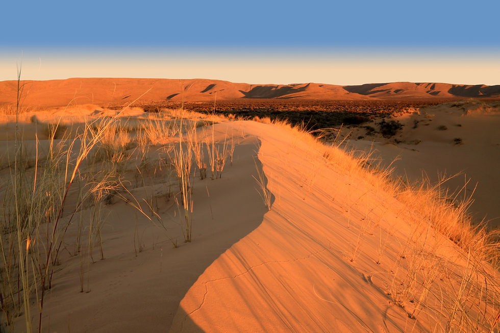 Cusp of the Dune