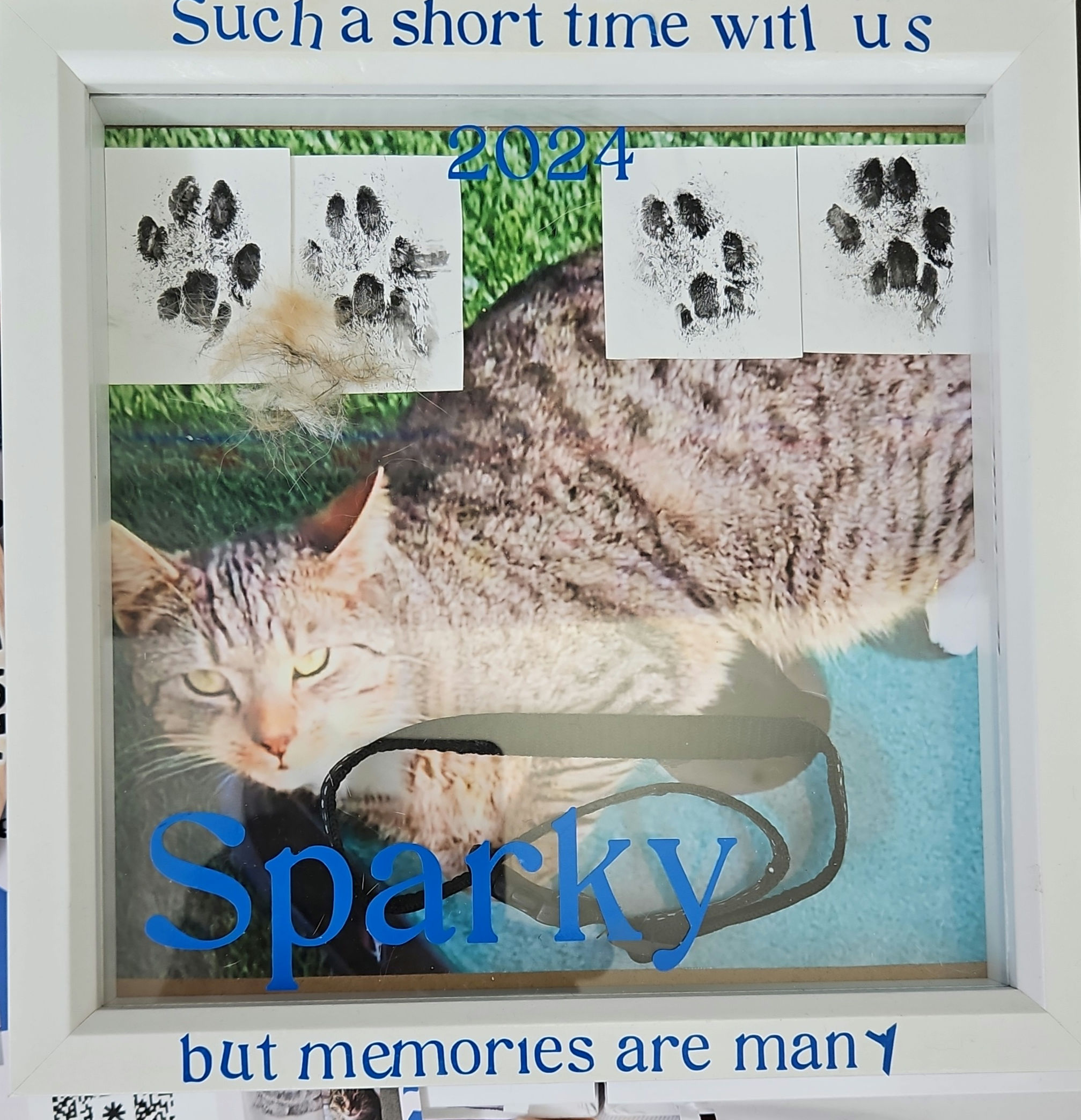 Pet memorial options