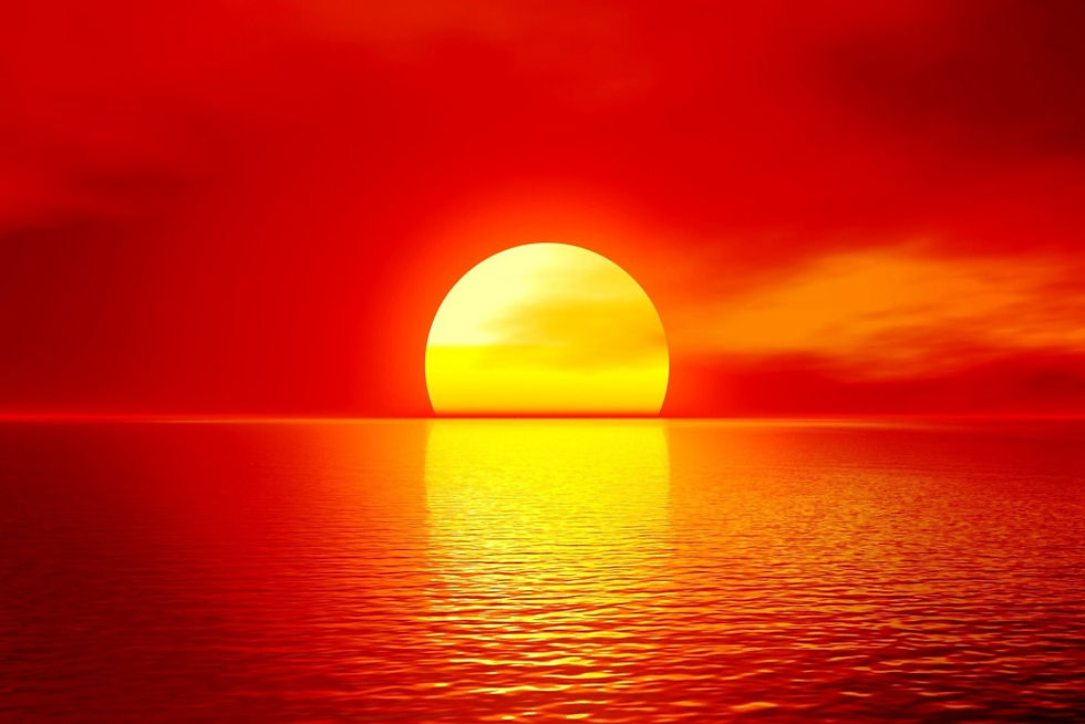 The Sun Through The Houses- Manifesting The Self