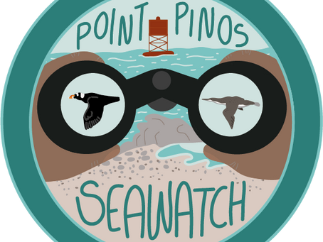 2025 Seawatch Nov 11