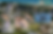 Birding the Naval Postgraduate School