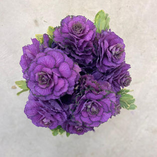 Holland Bouquet
