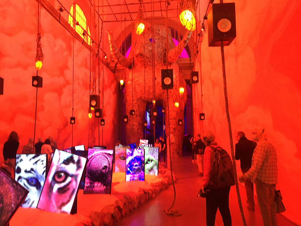 Thumbnail: Tate Modern- Private Tour 19.12.2022