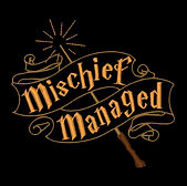 Mischief managed image
