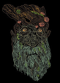 treebeard-image.jpg