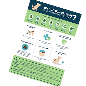 Infographic Why do we use herbs and botanicals in our naturally hypoallergenic dog food