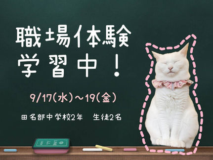 職場体験学習中です②(9/17~9/19)
