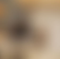 2月の営業について