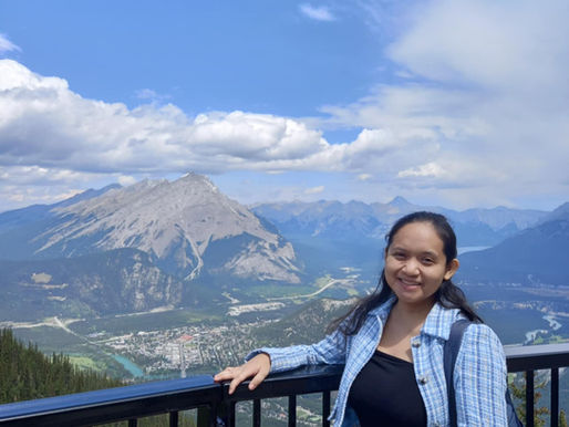 From dreaming of going abroad to being a cog in the wheel: an occupational therapist's missed opportunities