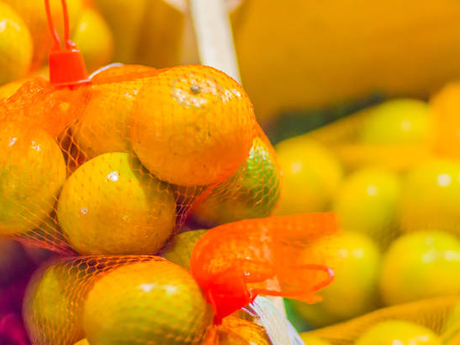 ミカン大好き息子