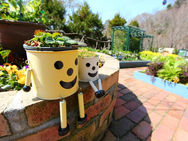 ガーデニングの楽しさ