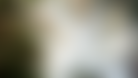 もう直ぐ花粉症のシーズンが始まります・・・