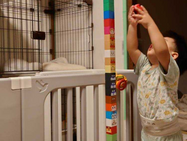 子どものブロック遊びと建築