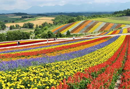 　北海道に住みたい