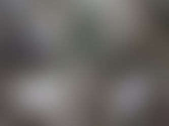 生活に欠かせないトイレ