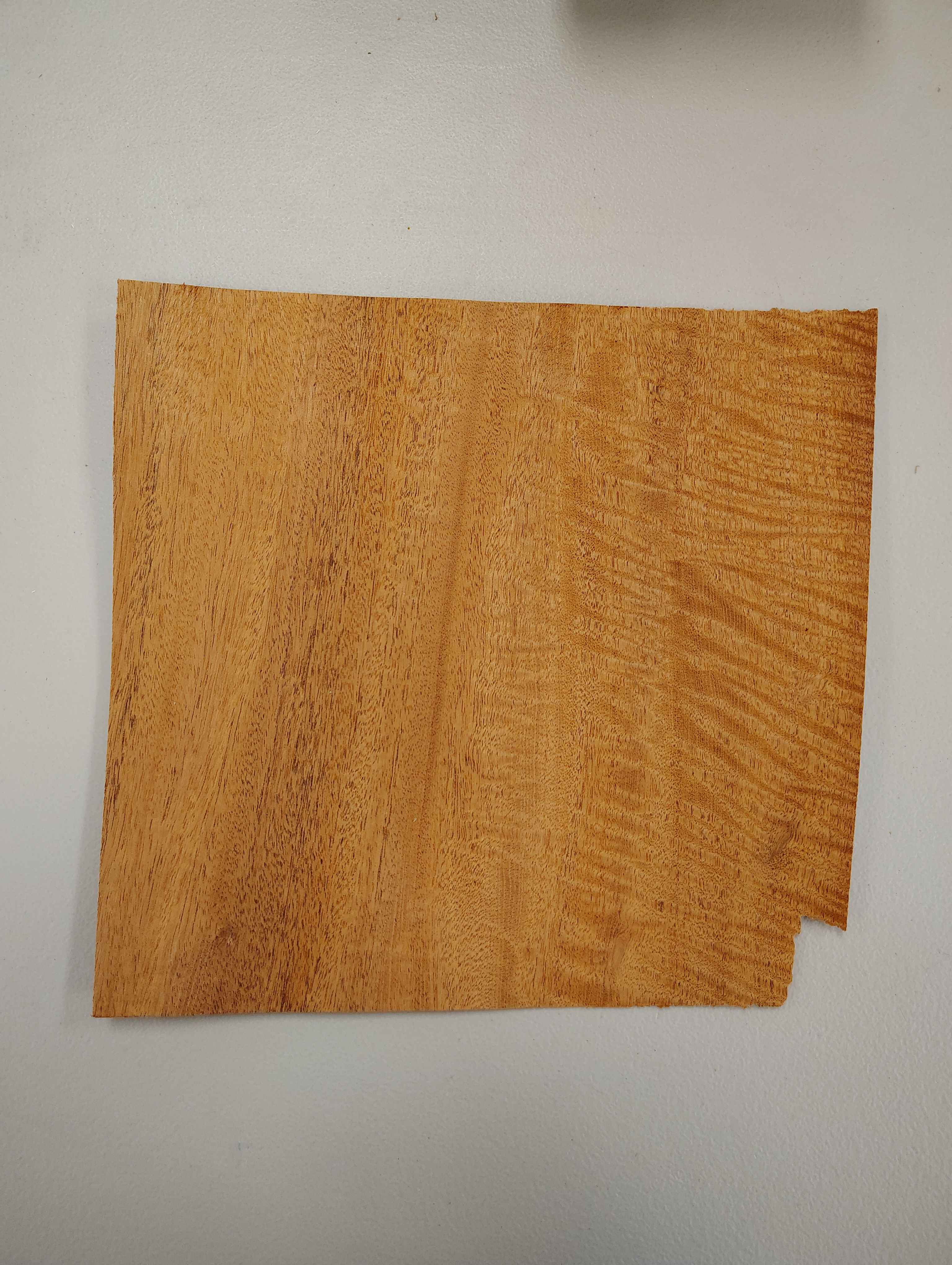 Curly Mahogany 1 sheet 8/10A