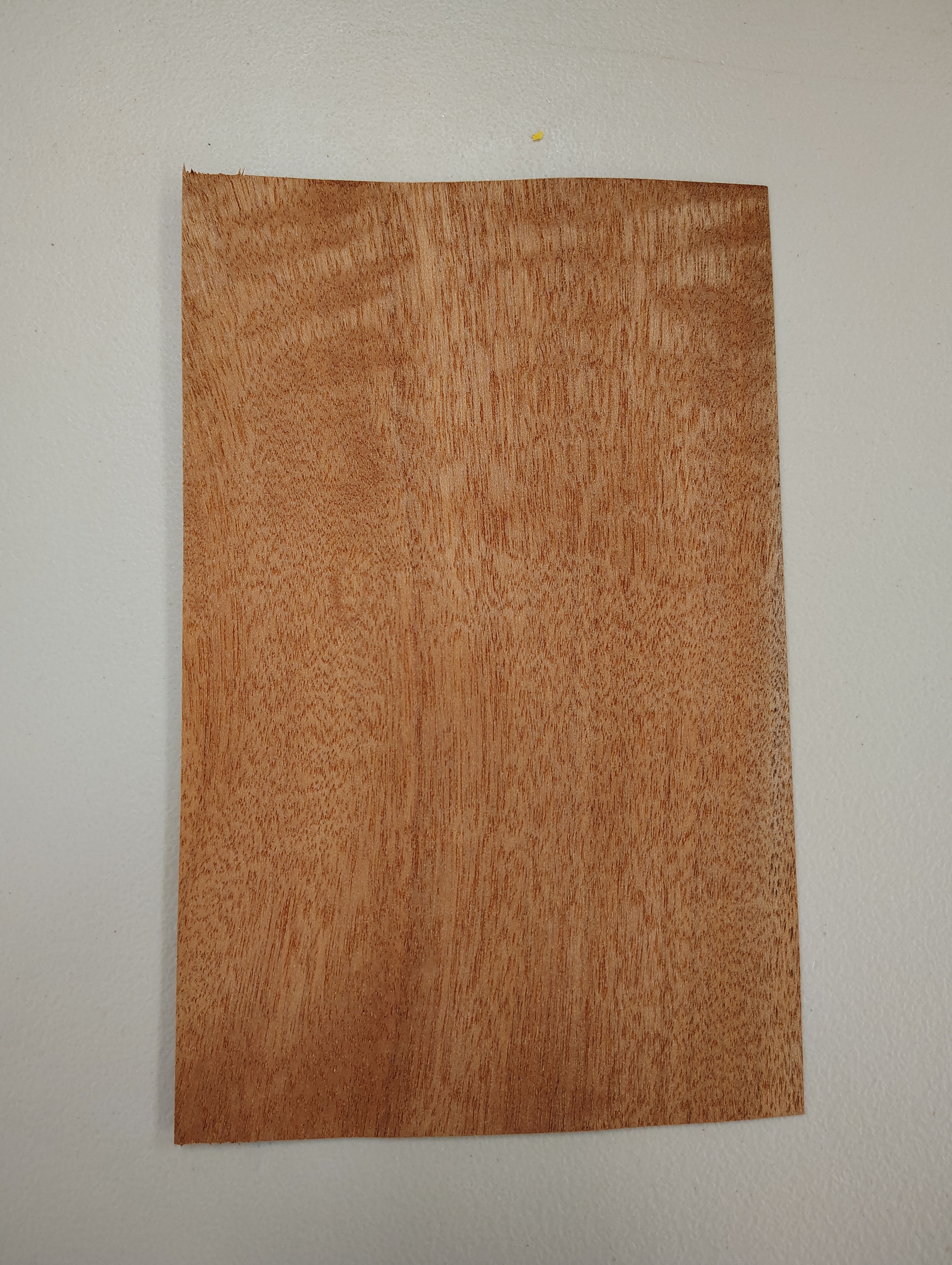 Tiger Makore 1 sheet 10A