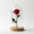 Eternal Rose Dome