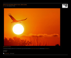 2016.12.04_web.jpg