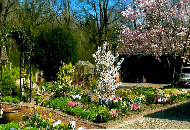 Blick in den Garten