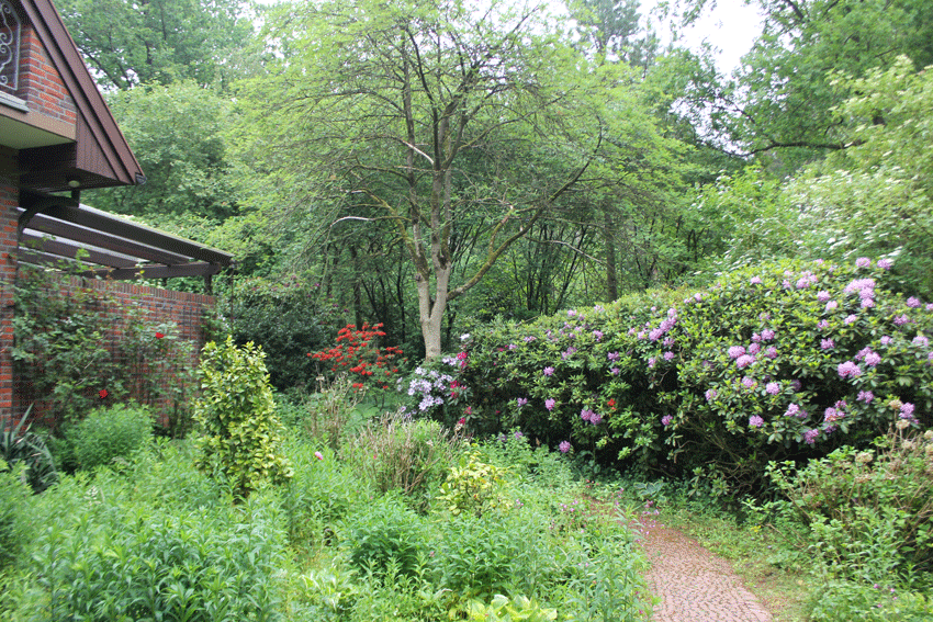 Gartenimpressionen